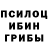 Псилоцибиновые грибы MAGIC MUSHROOMS Igor Filippidis